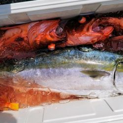 康仁丸・ジギング釣り果